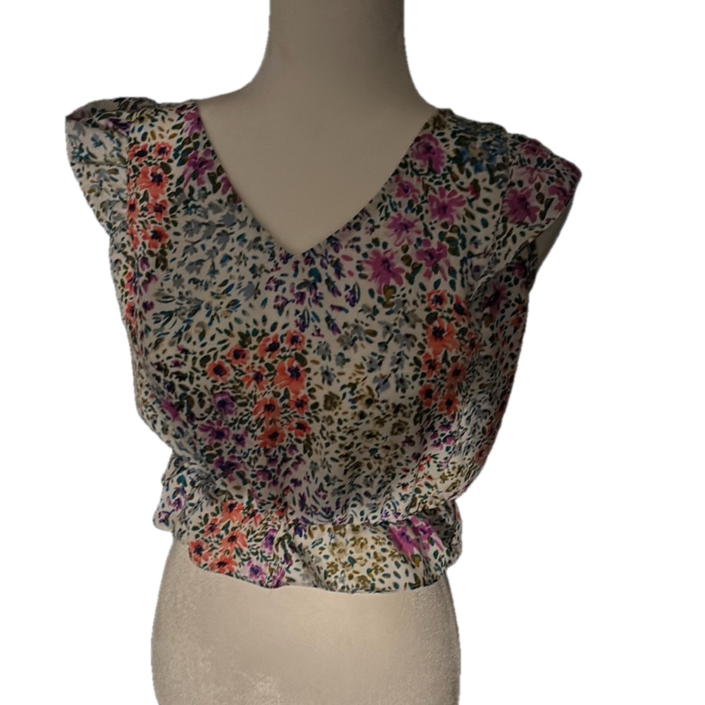 Everly Pink and Red Sleeveless Crop Blouse